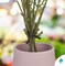 Black Twist Ties for Bags 4 Wire and Plastic Bread Ties 1000 Pack Bendable Plastic Twisty Ties Universal and Lightweight Wire Bag Ties Twists for Gardening Packing Decorating